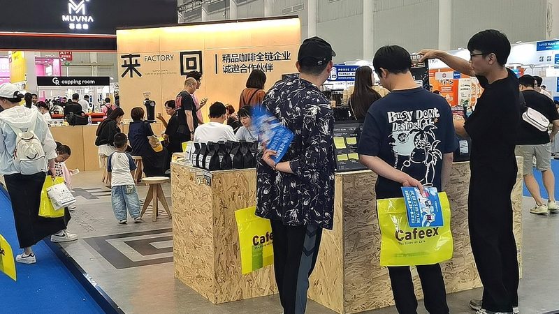 选择一家有经验的搭建团队至关重要。他们应具备以下条件：